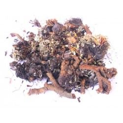 PASUCHACA - RAW řezaná nadzemní část sušené rostliny