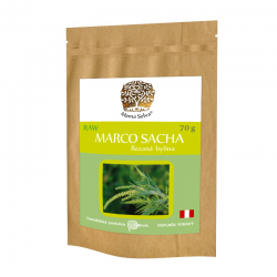 MARCO SACHA - RAW řezaná nadzemní část sušené rostliny