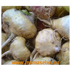 MACA Amarilla -  Žlutá maca z Peru